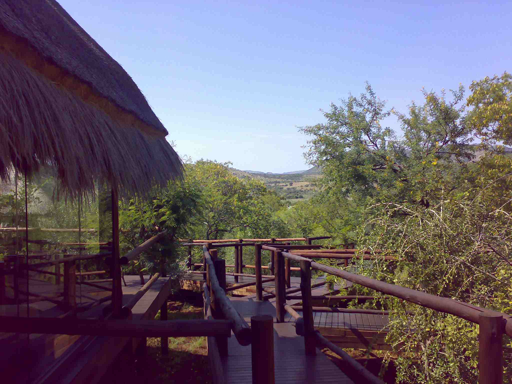 The view at a beautiful game lodge